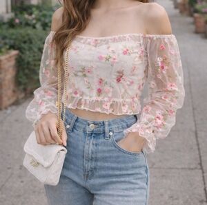 Coquette Off Shoulder Floral Embroidered Mesh Top Sheer Y2K Fairycore Girlycore